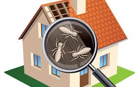 Outbuilding inspection services for sheds and detached structures in Mankato