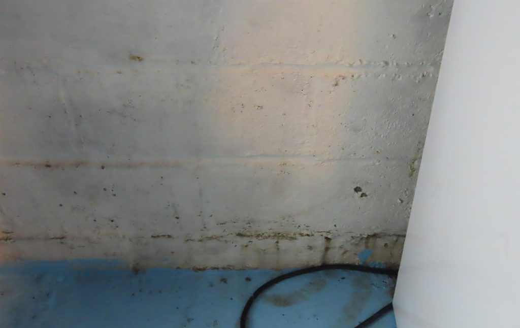 Mold inspection and testing in a Mankato, MN home basement