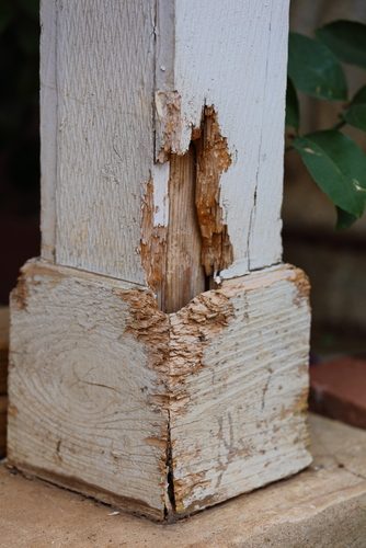 Termite and wood-destroying insect inspection in a Mankato, MN home